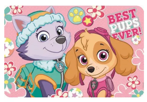 Prestieranie PAW PATROL Skye+Everest